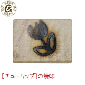 `[bv イ dCΉ Ă v[g  p p َq َq Ĉ DIY U[Ntg ؍H  BBQ o[xL[ Lv OsO | H  nh