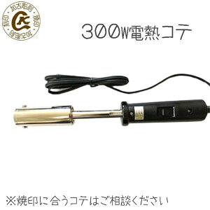 Ă Ĉ c(n_)300W Ă ₫ Ă IWi َq َq dM ؂̎ p g[Xg