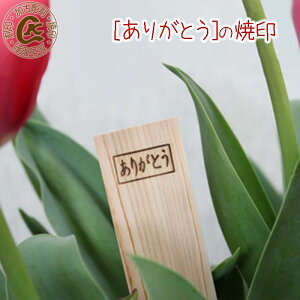 肪Ƃ Ă Ĉ j Ă ₫ Ǝ PTA 蕨 ʂ p[eB[ z ]  v[g p \ IWi َq dC c ٓ JXe 