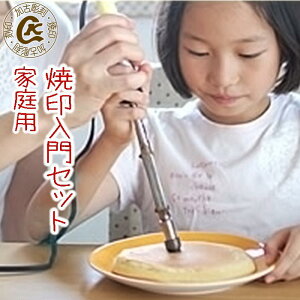 Ĉ Zbg ƒp  S҂ɁI100WdMRe p[Rg[[ uVt Ă IWifUCIׂ S َq a  َq Mtg v[g 