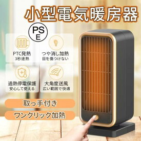 セラミックファンヒーター 小型 冷暖両用暖房器 PTC発熱 家庭用 大角度送風 速熱 小型 電気暖房器 省電力 暖房炉 PTC温風機 取っ手付き 学生 寮事