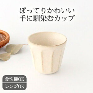 Jbv  e Z ۂ  ݏo tbH@Ή dqWΉ  킢 d aH { Mtg v[g j  