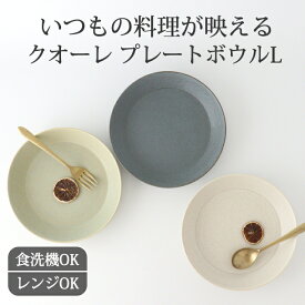 プレートボウル L 美濃焼 23cm 大皿 カレー皿 パスタプレート 磁器 ワンプレート皿 クオーレ｜和食器 食洗機 レンジ｜ベストセラー｜新生活 一人暮らし 引っ越し 就職祝い 新社会人｜母の日 プレゼント ギフト