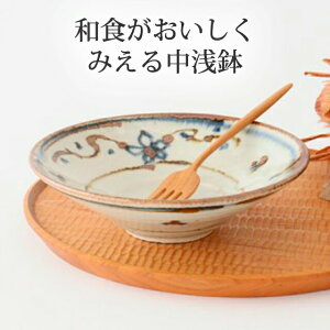 |Cg5{ 12/11܂Łb6  蔫 18cm q Z K bd aH ϕ { Mtg  킢  