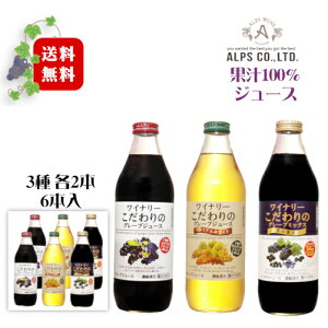 (ꕔn) AvX Ci[̃O[vW[X 1000ml 3×e2{k1P[Xl / ʏ`100% 1LrkjuicelԔ 6{Zbg a hV̓ Ε*~Mtg v[