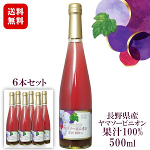 ���}�\�[�r�j�I��100%�ʏ` �y���h�߁z�W���[�X 500ml×6�{�Z�b�g �}�X�^�[�\�����G����L�Z���N�V���� / �_���h�~�ܖ��Y�� �����^�C�v ���쌧 ��Ԕ_�� �m���A���R�[�� �R�\�[���B�j���� �Ԃ�