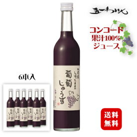 林農園 しぼったままの葡萄じゅうす コンコード 赤 500ml×6本〔1ケース〕/ 五一わいん 長野県産 果汁100% じゅーす〔保存料・砂糖・着色料 無添加〕ぶどうジュース◆送料無料(一部地域を除く)◆