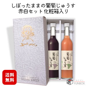 【ギフト】林農園 しぼったままの葡萄じゅうす 赤・白セット〔化粧箱入〕500ml×各1本 / 五一わいん 長野県産 果汁100%〔保存料・砂糖・着色料無添加〕コンコード ナイヤガラ ジュース 2本入