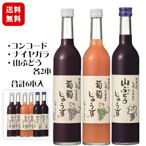 є_ ڂ܂܂̕イ 500ml 3×e2{Zbgk1P[Xl / RԂǂARR[hAiCK [ ܈킢 쌧Y ʏ`100%kۑEEF YlԂǂ