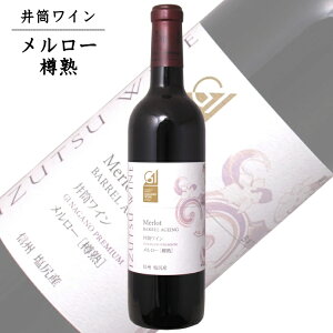 䓛C [Mn 720ml / {C GI NAC 쌧Ynď̔F ԃC ANM 014474