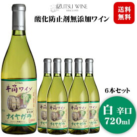 【2024年産】井筒ワイン 酸化防止剤無添加ナイヤガラ〔白・辛口〕720ml×6本セット〔1ケース〕 / 日本ワイン 長野県産 いづつ 酸化防止剤不使用 ◆送料無料（一部地域を除く）◆ ANM 014286