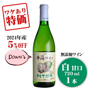 iysZ[z 2024NY 䓛C _h~ܖYiCKkEÌl720ml / {C 쌧Y Y C iCAK _h~ܕsgp 󂠂 AEgbg