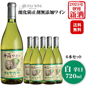 【2025年産☆新酒入荷しました☆】井筒ワイン 酸化防止剤無添加ナイヤガラ〔白・辛口〕720ml×6本セット〔1ケース〕 / 日本ワイン 長野県産 いづつ 酸化防止剤不使用 ◆送料無料（一部地域を除く）◆ ANM 014286