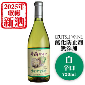 【2025年産☆新酒入荷しました☆】井筒ワイン 酸化防止剤無添加ナイヤガラ〔白・辛口〕720ml / 日本ワイン 長野県産 いづつ 1本 酸化防止剤不使用 ANM 013990