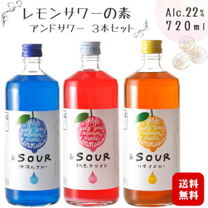 SOUR ݔ 720ml 3{Zbg 22x ю𑢖{X / AhT[ u[ zCg 肷CG[3 e1{ *T[̑f* 5{߃^Cv L[ ̂ ܂Ƃߔ
