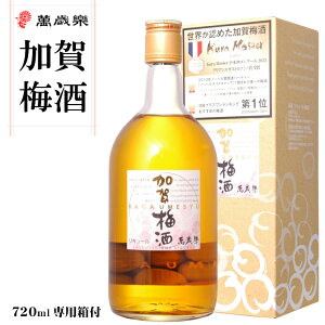 ݍΊy ~ 720ml pt / x𑢓X ΐ쌧 ܂񂴂炭 ̔~ gf~ ̓ ̓ Mtg v[g   Ε Ԍ L[