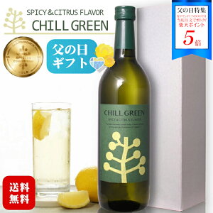 ���|�C���g5�{���y�M�t�g�z�`���O���[�� ���Ē� 25�x 720ml 1�{�k���ϔ����lCHILL GREEN spicy&citrus flavor / �_�c�� ���� �X�p�C�X �V�g���X���� �n�C�{�[�� �}�[�K�I chill out �v���[���g ��j �a��