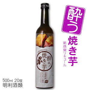 Ă 500ml 20x  / L[ĂJNe 錧Y܂ VNXC[g  ₫