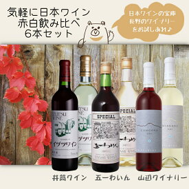 気軽に楽しみたい日本ワイン赤白6本セット / 井筒ワイン 五一わいん 山辺ワイナリー〔スタンダード赤・白、スペシャル赤・白、コンコード辛口・ナイアガラ辛口〕720ml×6本 長野 人気 フルボトル 母の日 父の日ギフト008922