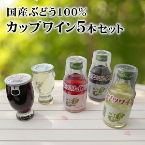 yYԂǂ100%z쌧Ks̘V܃Ci[ JbvC 5{Zbg / {C 䓛C ܈킢 Ԕ[ ݂TCY ݔ Ԍ ӎ Jbv 51 p[eB[