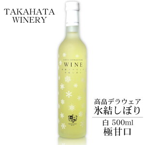 fEFA Xڂ 500ml / Ci[ ɊÌ C {C R`YfEGA NIGNXgNV `@ HO fU[gC