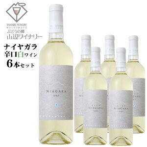 y2025NYEVzRӃCi[ iCK h 720ml×6{Zbg / {C 쌧Y C iCAK