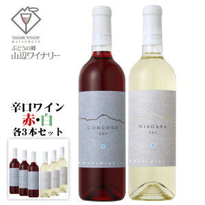 y2025NYEVzRӃCi[ RR[h iCK h6{Zbg [3{/3{] 720ml / {C 쌧Y ԔCZbg iCAK