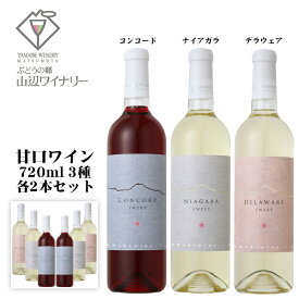 山辺ワイナリー 甘口ワイン 6本セット[ 3種 各2本 ] / コンコード ナイアガラ デラウェア 720ml 日本ワイン 長野県産 赤白ワインセット