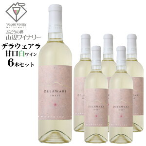 y2025NYEVzRӃCi[ fEFA Ì 720ml×6{Zbg /{C 쌧Y C fEGA