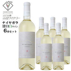 y2025NYEVzRӃCi[ iCK Ì 720ml×6{Zbg / {C 쌧Y C iCAK