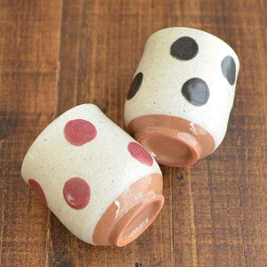 y}\ԁ|Cg20{z܂hbg  IV Rbv Jbv   Vv 킢 { Z H v[g hV̓ Mtg JNj KAKUN