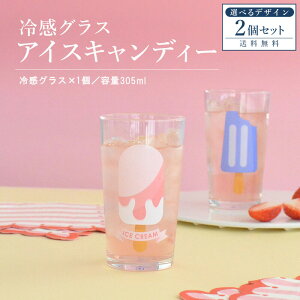 y}\ԁ|Cg20{z⊴OX ACXLfB[ 2Zbg  Rbv ⊴ Fς 킢  a j 305ml v[g Mtg { ⊴OX 