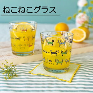 ˂˂OX OX 킢 300ml POP lC v[g Mtg { Rbv Jbv L qp JNj KX j zj Mtg v[g oYj