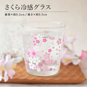 ⊴OXyOX  ⊴ Fς 킢 300ml POP lC v[g Mtg { Rbv Jbv qp JNjz