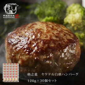 ハンバーグ 温めるだけ 冷凍 送料無料 格之進 ヤケテル白格ハンバーグ （約120g×30個セット） 黒毛和牛 白金豚 無添加（新パッケージ）