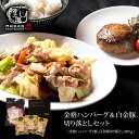 格之進 ハンバーグ お肉 セット（金格3個 白金豚 切り落とし 300g） 送料無料 冷凍 豚肉 お中元 ギフト 焼肉 小分け