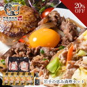 ＜ファミリー大感謝祭＞岩手の恵み満喫セット 金格ハンバーグ 国産牛 白金豚 切り落とし 牛醤