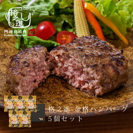 ハンバーグ 冷凍 ギフト 父の日 格之進 金格 5個 セット お取り寄せグルメ 国産牛 白金豚