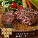 ハンバーグ ギフト 格之進 金格 10個セット 冷凍 送料無料 国産牛 白金豚