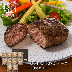 iVi ino[O 10Zbg Mtg Ⓚ  јa Y