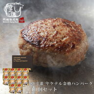 ハンバーグ 温めるだけ 湯煎 冷凍 送料無料 格之進 ヤケテル金格ハンバーグ 10個セット 国産牛 白金豚
