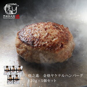 ハンバーグ 温めるだけ 湯煎 冷凍 送料無料 格之進 ヤケテル金格ハンバーグ (約120g×5個セット)無添加