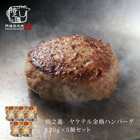 ハンバーグ レトルト お取り寄せ 湯煎 ギフト 格之進 ヤケテル金格 5個 セット 温めるだけ 冷凍 無添加