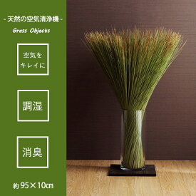国産 日本製 い草 インテリア オブジェ 消臭 空気清浄 ナチュラル 植物 置物 95×10cm