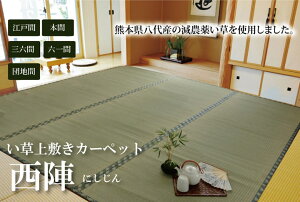 Y _͔|  ~ J[ybg D wwx ]ˊ1(88×176cmj F{YCgp