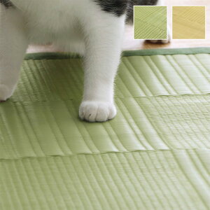 O 􂦂 J[ybg { Y R hL L AEghA W[ ~ a Vv O[ ]ˊ 3(174×261cm)