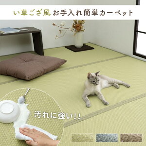 􂦂  { Y J[ybg o[Vu v ۃXv[Ή ~l O ~ ybg uE ]ˊ1i87×174cmj