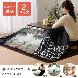 zc ` wp_x 190×240cm