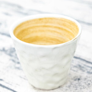 _ g ^ y EGq z ܂₩Jbv ĒJbv bNOX ĒOX Rbv Jbv r[Jbv e 240ml k kJ[  킢 yA vw dqW