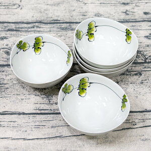 y2020~2423:59܂ P20{ N[|g܂z _ g ^ y q z  N\ {[ M a 13cm ͂ݏĂ  蔫 JtFH JtF cafe  킢  